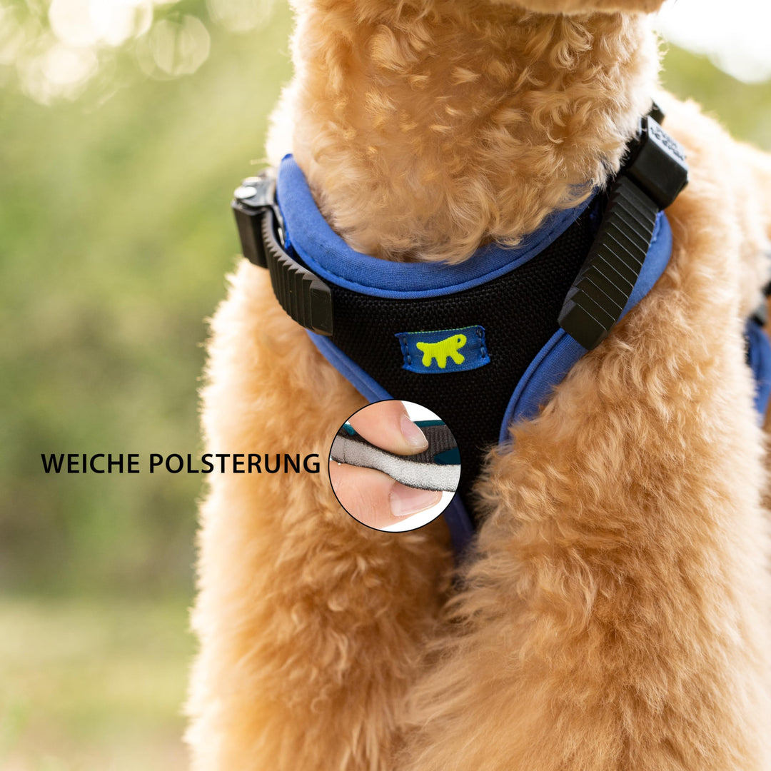 Hundegeschirr gepolstert Nylon Grösse L für Hunde bis 40 kg Blau - Bild 7
