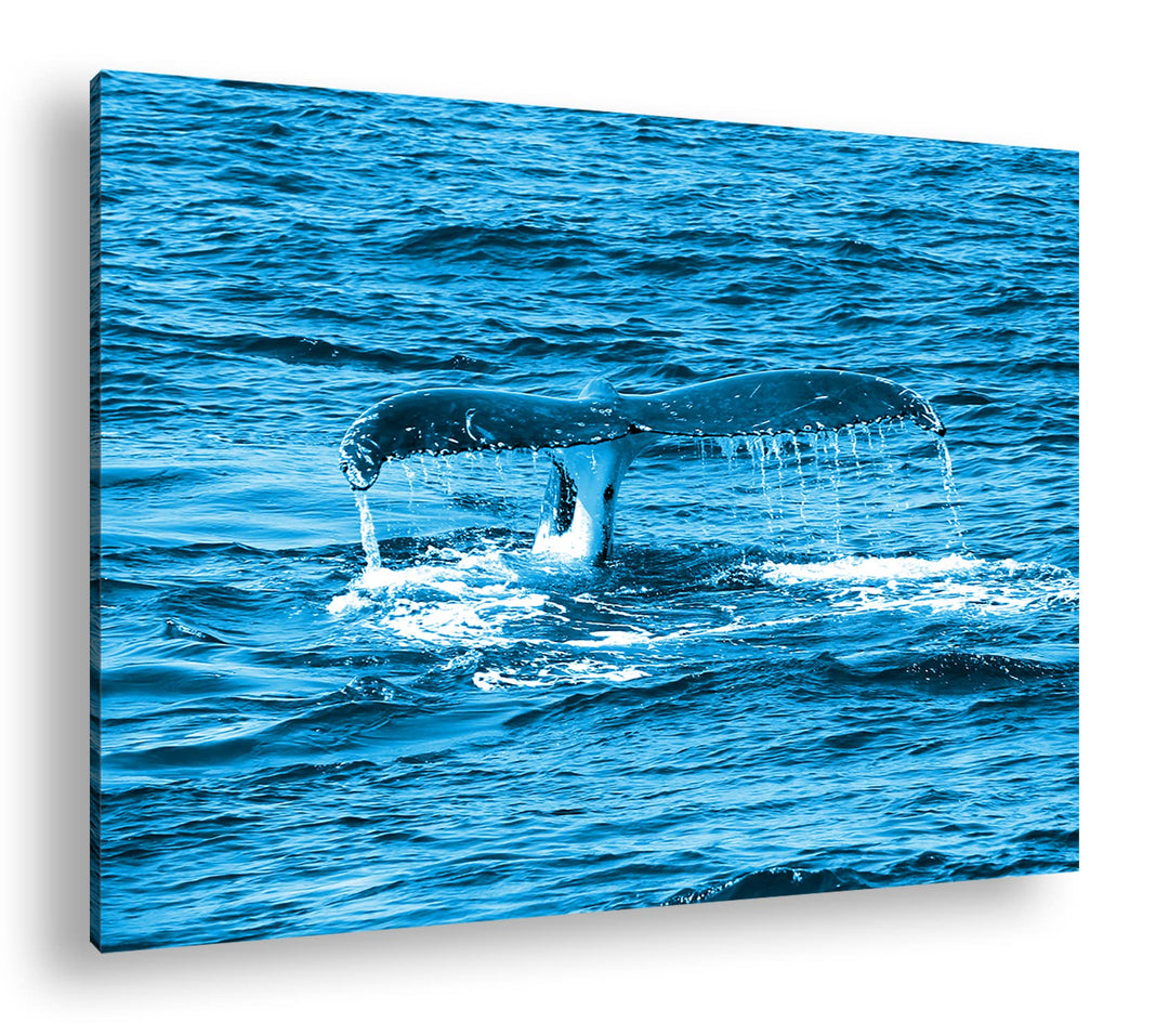 Leinwandbild Walschwanzflosse Monochrom Blau 80x60 cm Echtholz