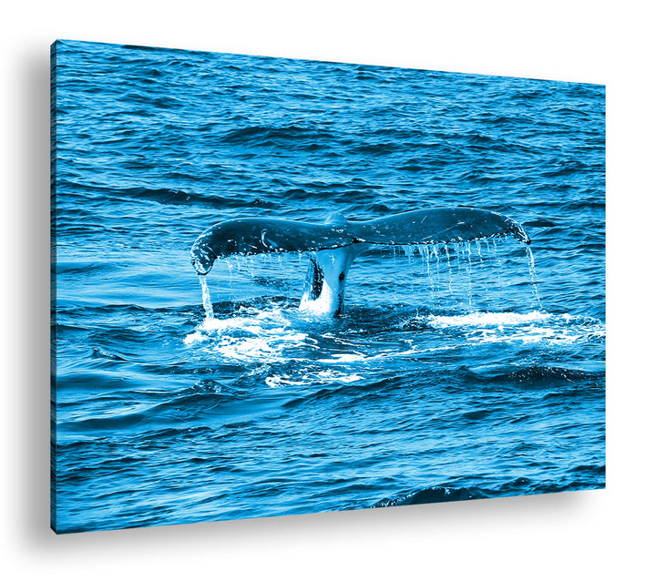 Leinwandbild Walschwanzflosse Monochrom Blau 80x60 cm Echtholz
