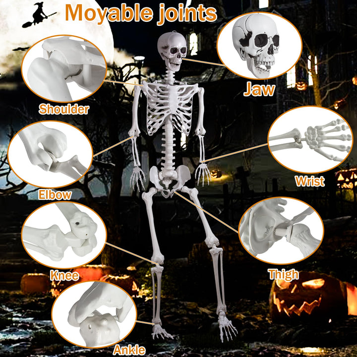 Halloween Skelett 240cm Ganzkörper mit beweglichen Gelenken Outdoor - Bild 7
