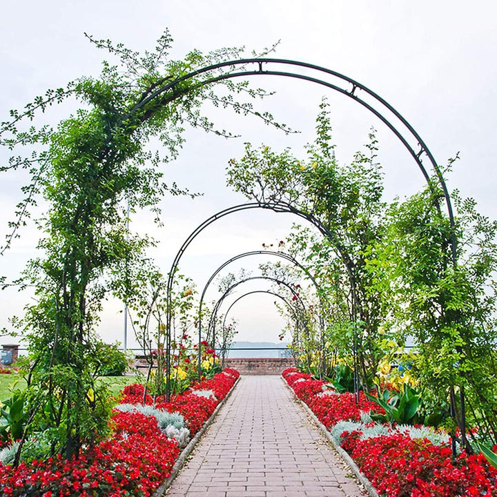 Rosenbogen Garten Stahl pulverbeschichtet 240x140x38 cm 3er-Set - Bild 6