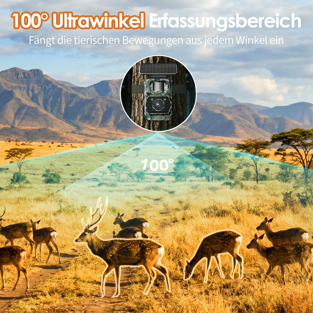 Wildkamera Solar 4K 64MP mit App-Steuerung und Nachtsicht - Bild 6