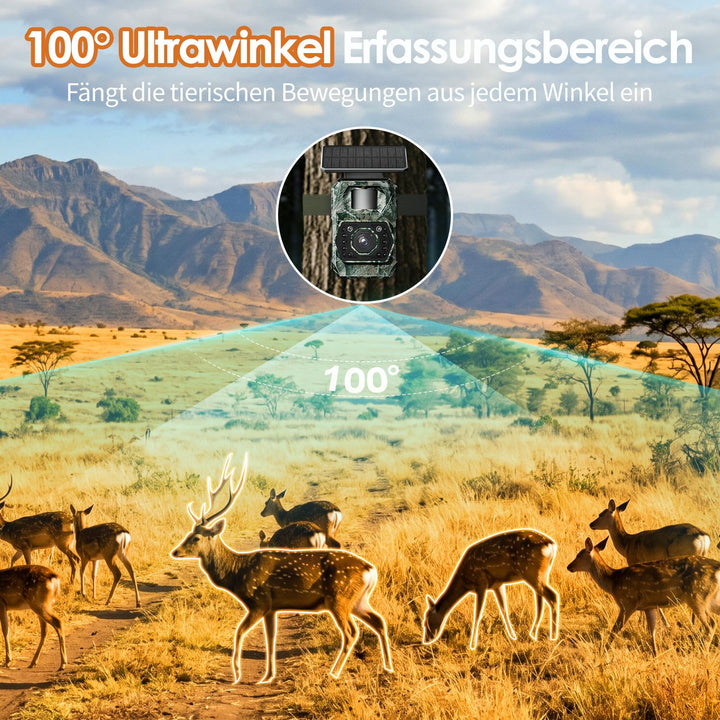 Wildkamera Solar 4K 64MP mit App-Steuerung und Nachtsicht - Bild 6