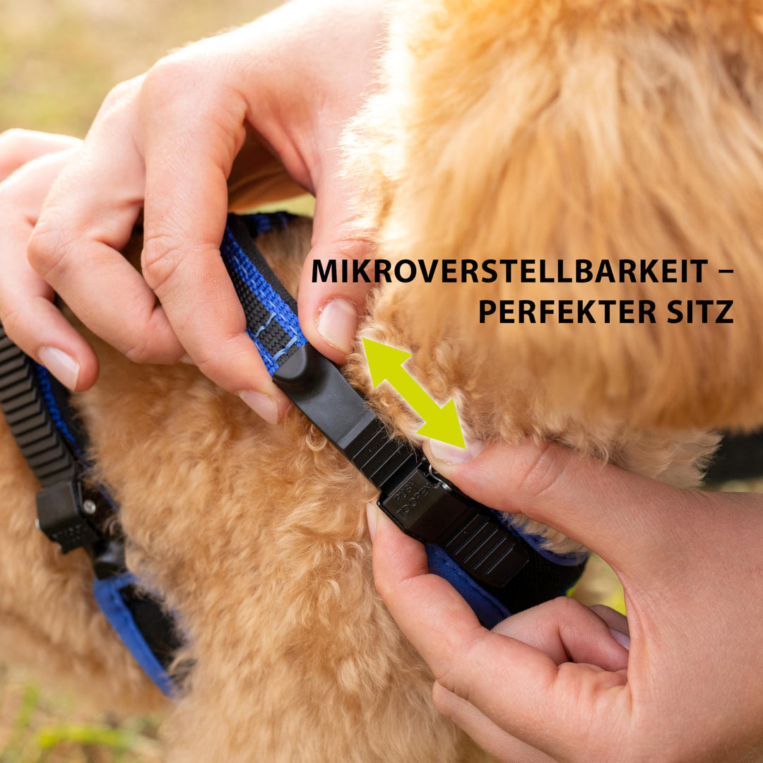 Hundegeschirr gepolstert Nylon Grösse L für Hunde bis 40 kg Blau - Bild 6