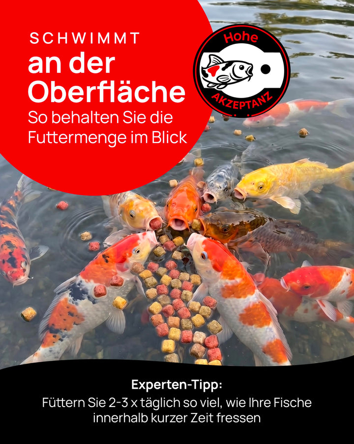 Koifutter Mix schwimmende Pellets 6mm 15kg für Gartenteich - Bild 4