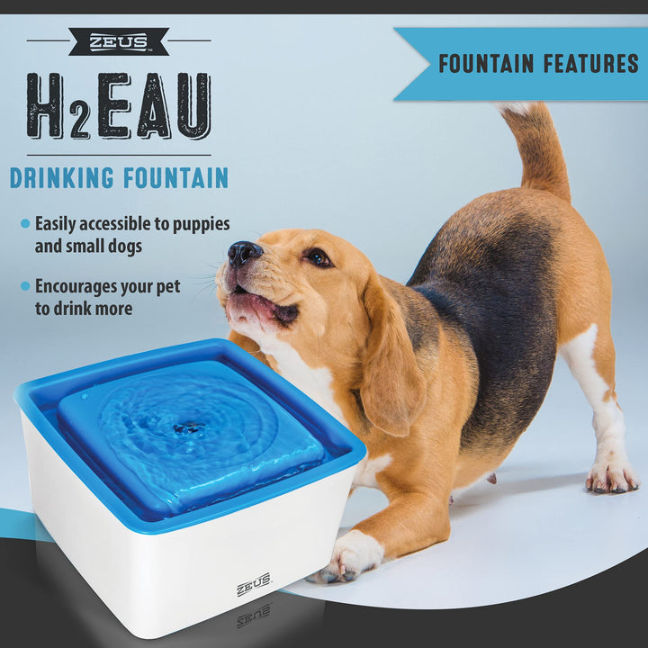 Hundetrinkbrunnen BPA-frei mit Filter 1,5 L für kleine Rassen - Bild 3
