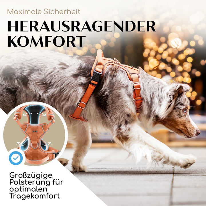 Hundegeschirr Anti-Zug Mesh gepolstert wasserabweisend Orange - Bild 3