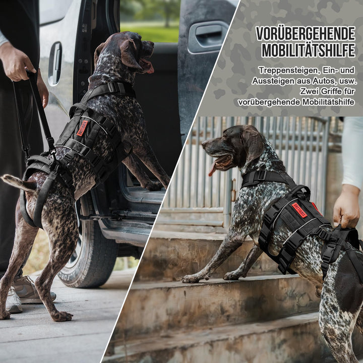 Hundegeschirr Hebegeschirr 2 Griffe Rehabilitation Grosse Hunde - Bild 5