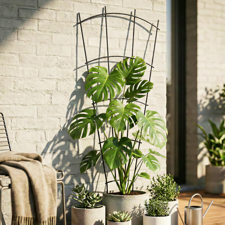 Rankgitter Metall Fächerform 109x43 cm 4er-Set für Garten - Bild 5