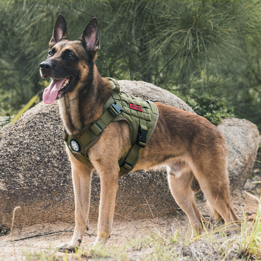 Taktisches Hundegeschirr MOLLE 1000D Nylon Grösse M Ranger Grün - Bild 7