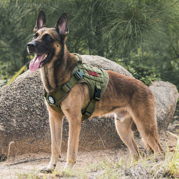 Taktisches Hundegeschirr MOLLE 1000D Nylon Grösse M Ranger Grün - Bild 7
