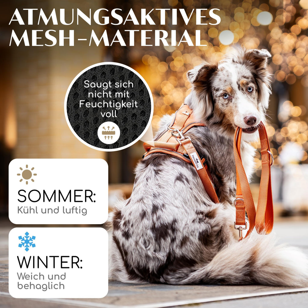 Hundegeschirr Anti-Zug Mesh gepolstert wasserabweisend Orange - Bild 4