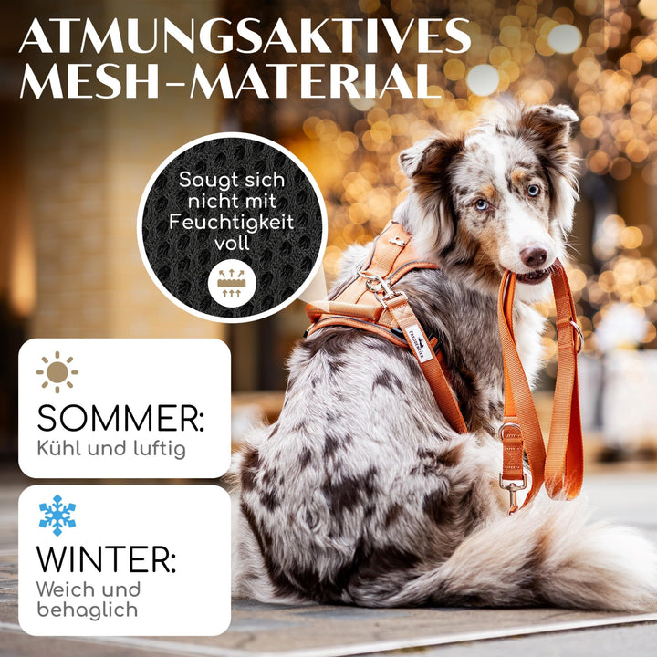 Hundegeschirr Anti-Zug Mesh gepolstert wasserabweisend Orange - Bild 4