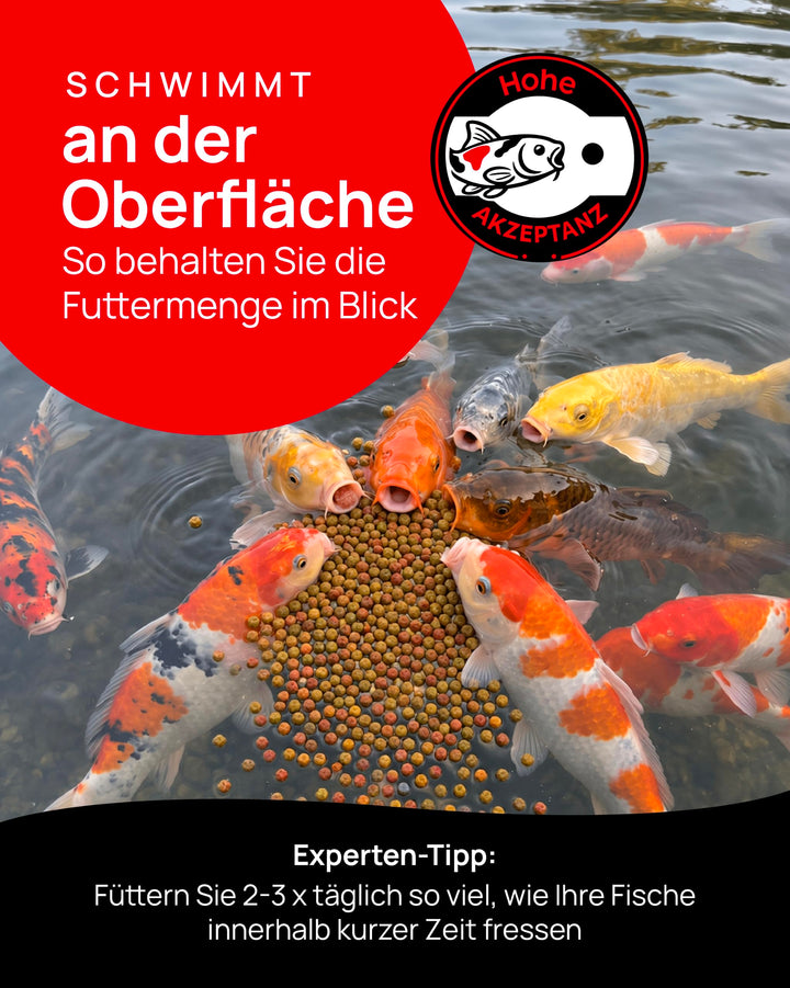 Koifutter Mix 15 kg schwimmende Pellets 3 mm für Gartenteich - Bild 4
