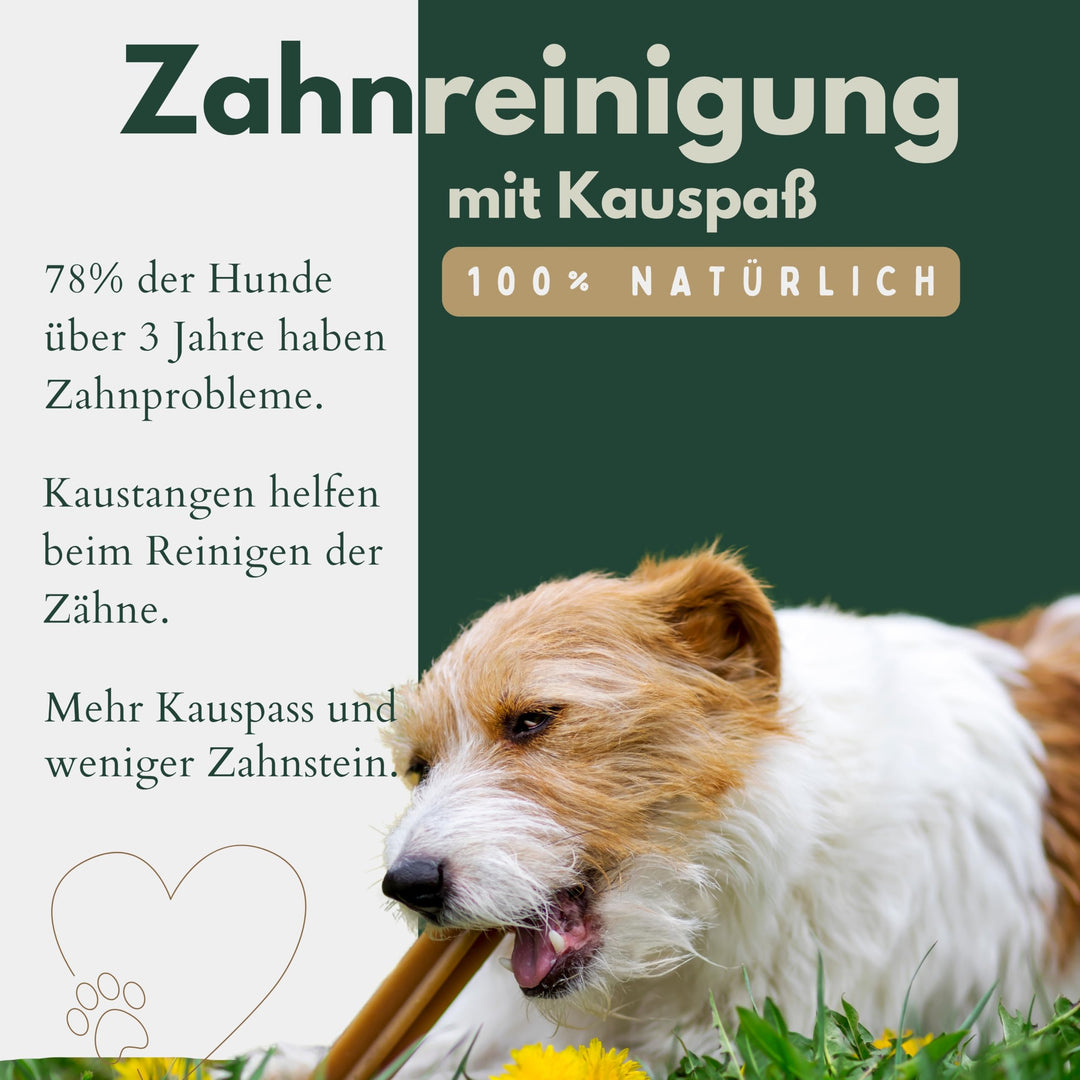 Rinderkopfhaut getrocknet für Hunde 25cm getreidefrei 5kg - Bild 4