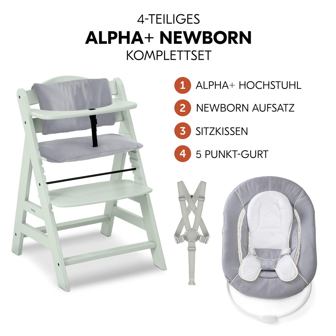 Hochstuhl Buchenholz 4-in-1 Set mit Bouncer &amp; Wippe ab Geburt - Bild 2
