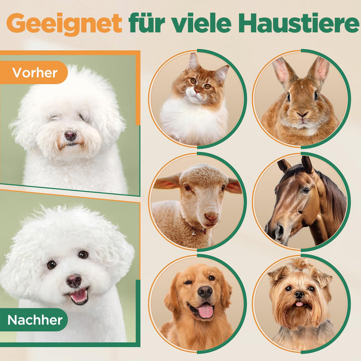 Hundeschermaschine 6-in-1 kabellos 7000 U/min mit Scheren-Set - Bild 9