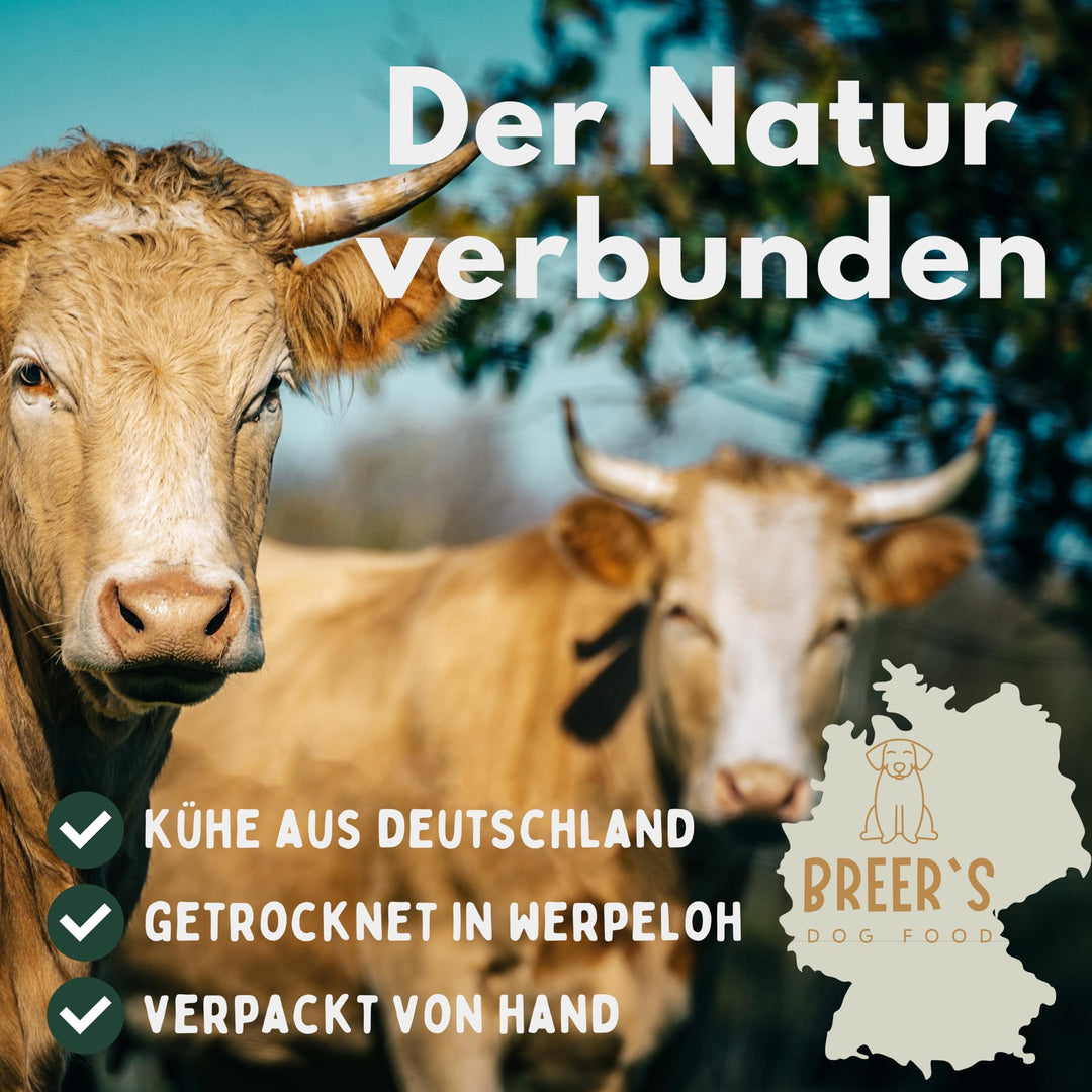 Rinderkopfhaut getrocknet für Hunde 25cm getreidefrei 5kg - Bild 6