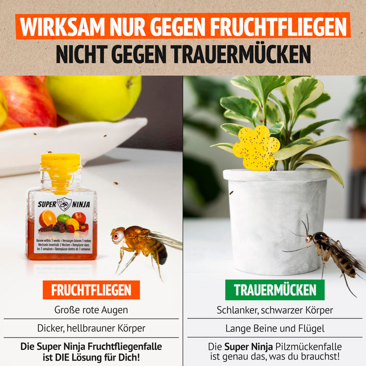 Fruchtfliegenfalle mit Flüssigköder 12er-Pack für Küche - Bild 6