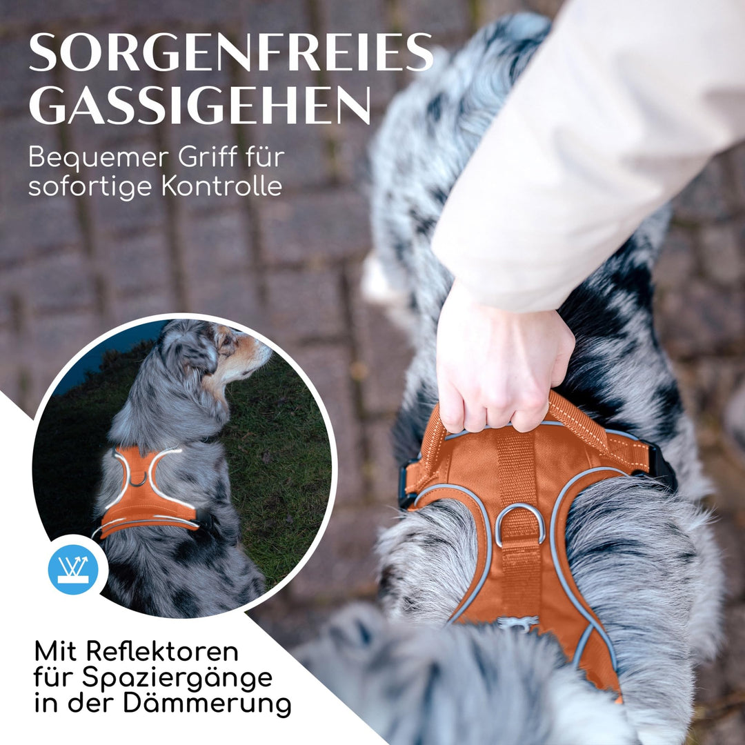 Hundegeschirr Anti-Zug Mesh gepolstert wasserabweisend Orange - Bild 5