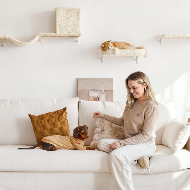 Katzen Kletterwand Set 10-teilig Multiplexholz mit Hängematte beige