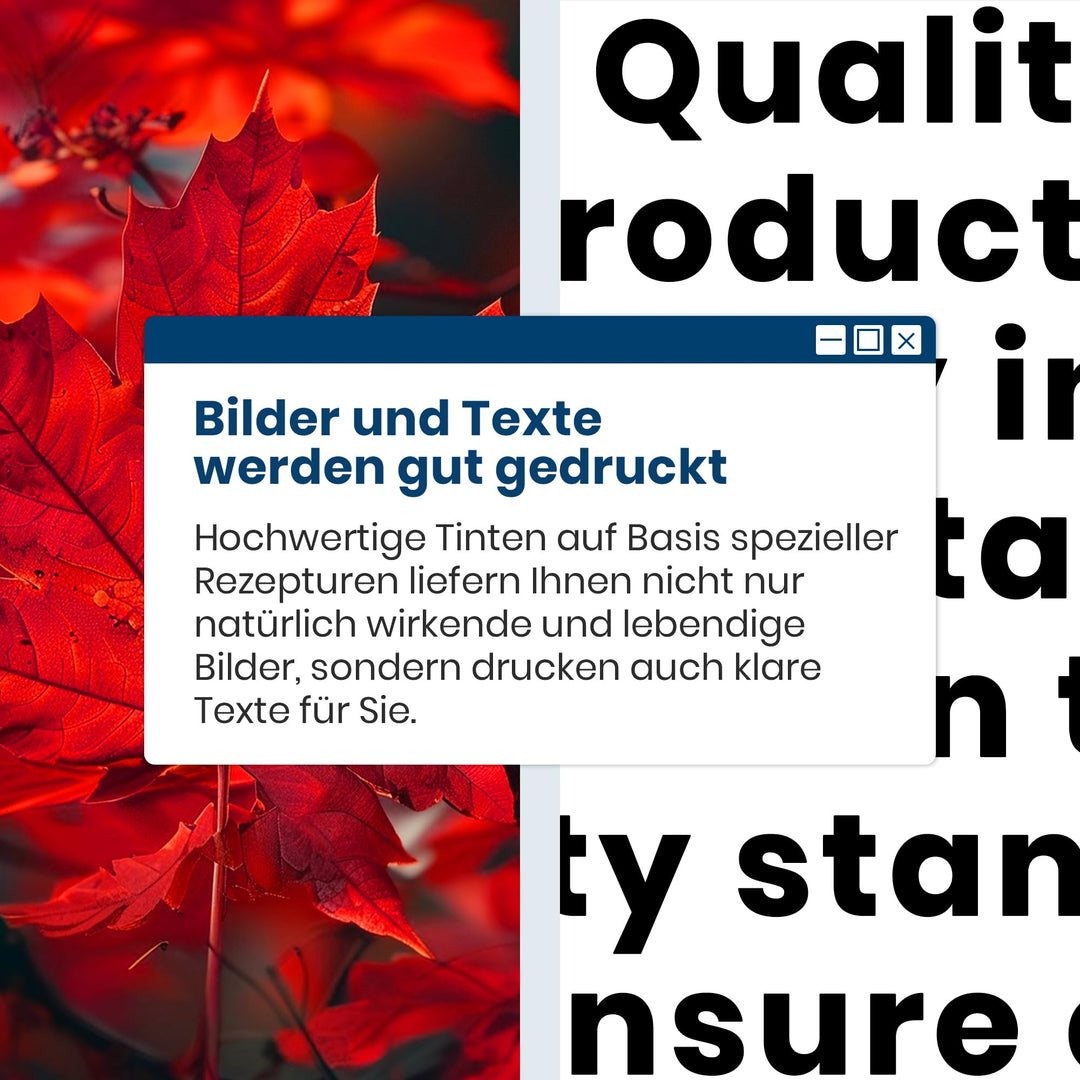 Tintenpatronen PG-560XL CL-561XL Multipack für Canon PIXMA - Bild 9