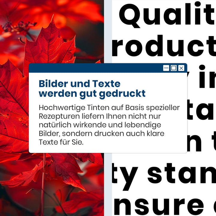 Tintenpatronen PG-560XL CL-561XL Multipack für Canon PIXMA - Bild 9