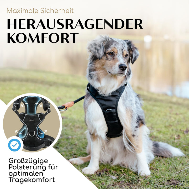 Hundegeschirr Anti-Zug gepolstert Mesh atmungsaktiv reflektierend - Bild 3