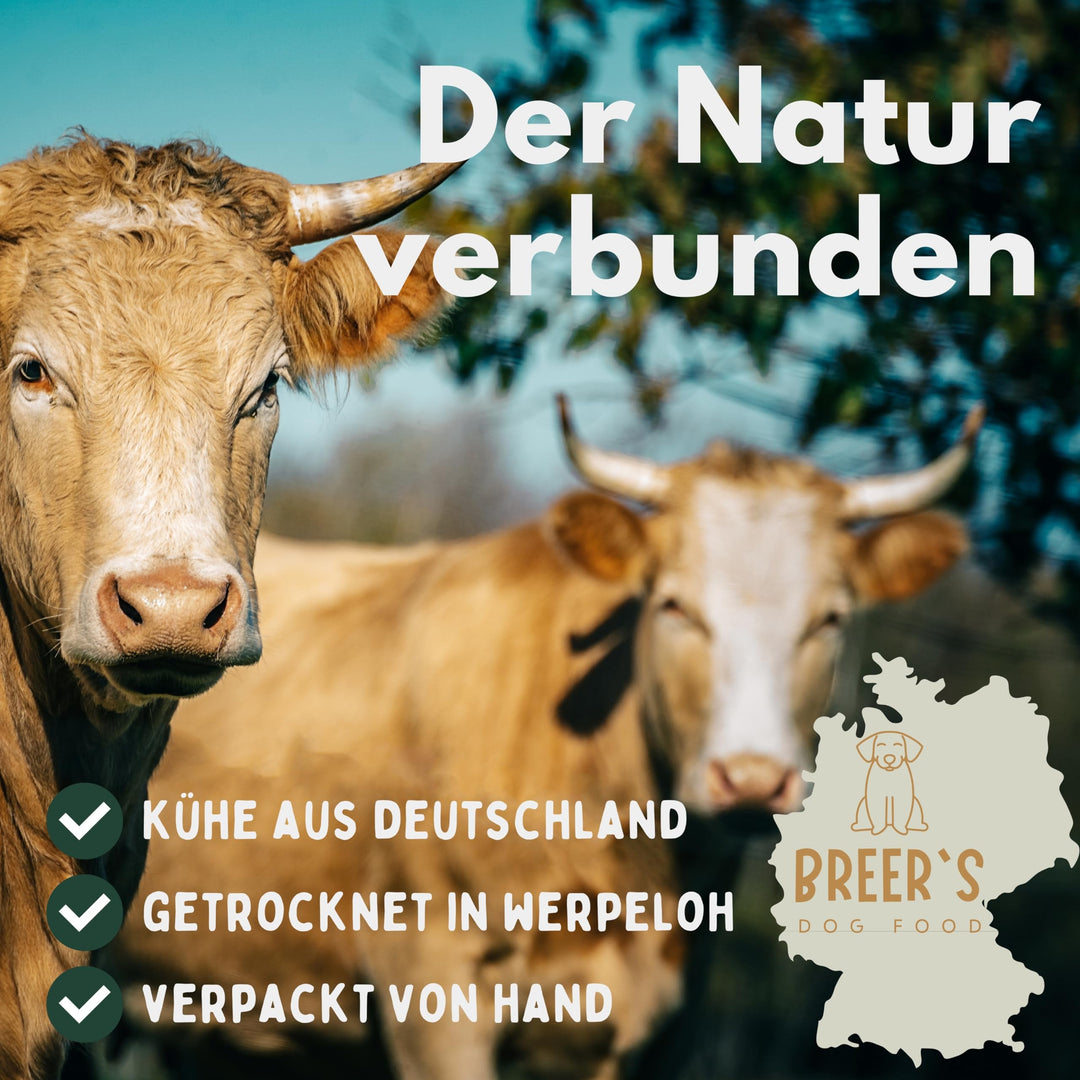 Getrocknete Rinderkopfhaut Hund 25cm Kausnack 2kg Vorrat - Bild 6