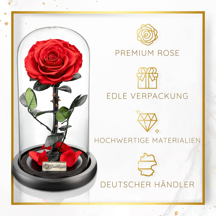 Echte Rose im Glas mit Geschenkbox Rot – Romantisches Geschenk - Bild 2