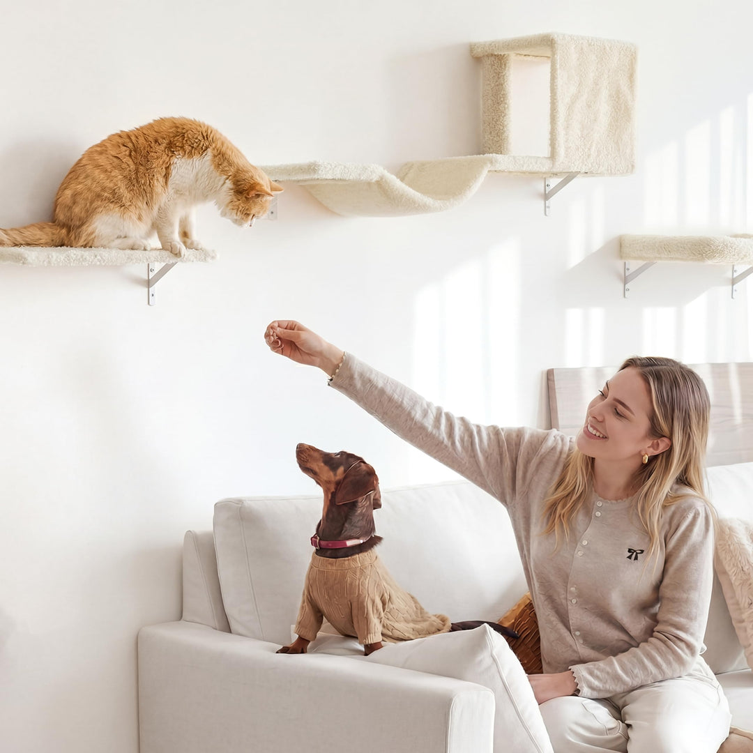 Katzen Kletterwand Set 10-teilig Multiplexholz mit Hängematte beige