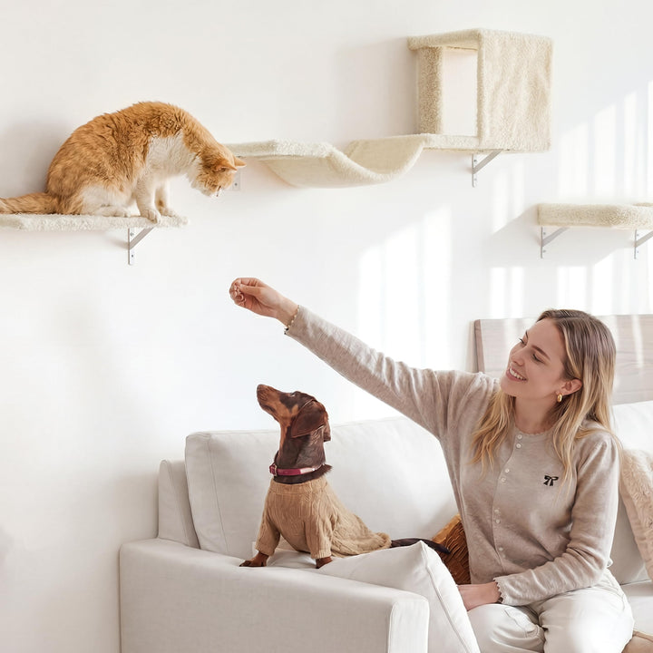 Katzen Kletterwand Set 10-teilig Multiplexholz mit Hängematte beige