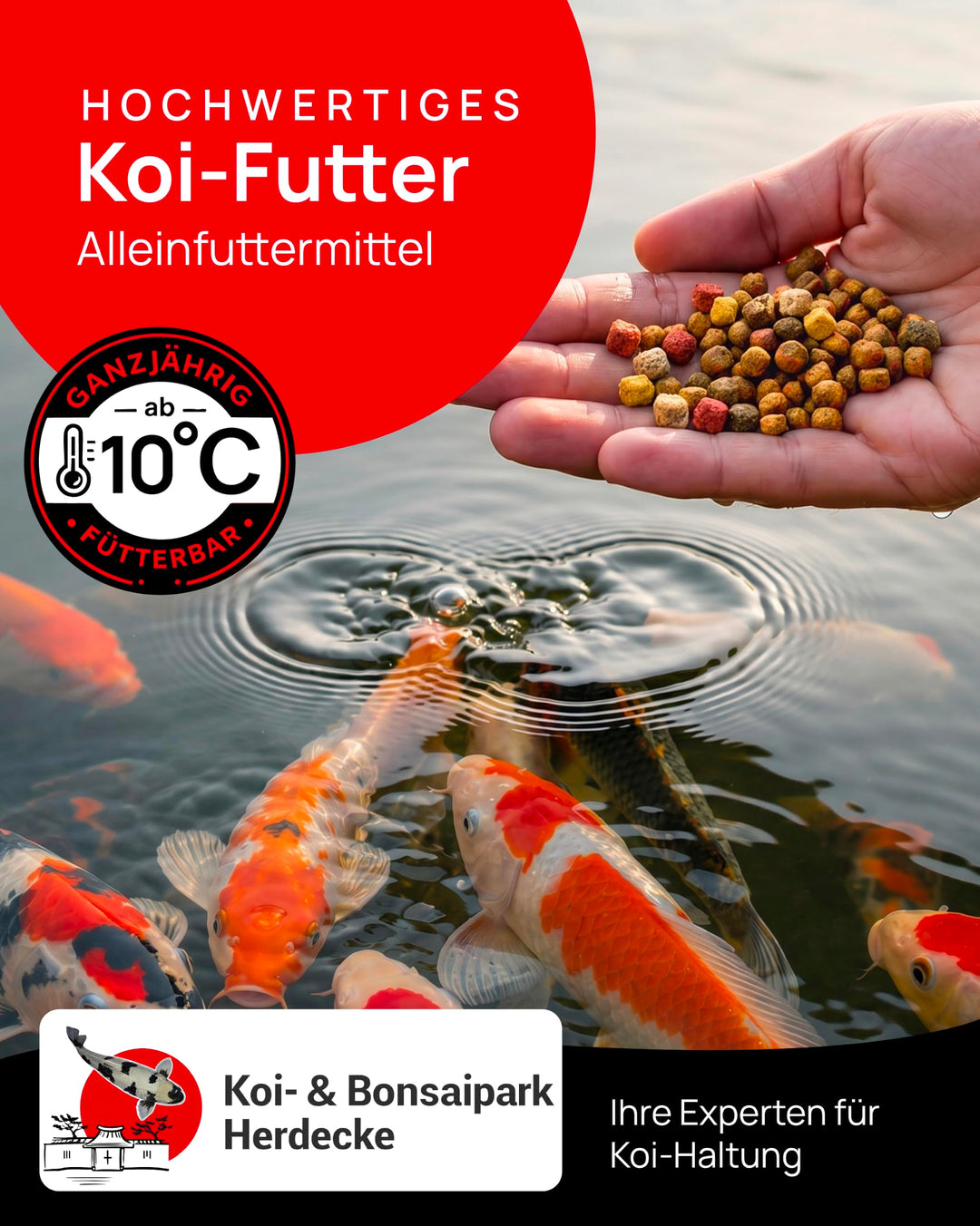 Koifutter Mix schwimmende Pellets 6mm 15kg für Gartenteich - Bild 2