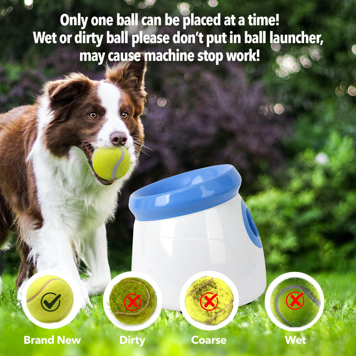 Automatischer Ballwerfer für Hunde 3-9 m Wurfweite mit 3 Tennisbällen - Bild 6