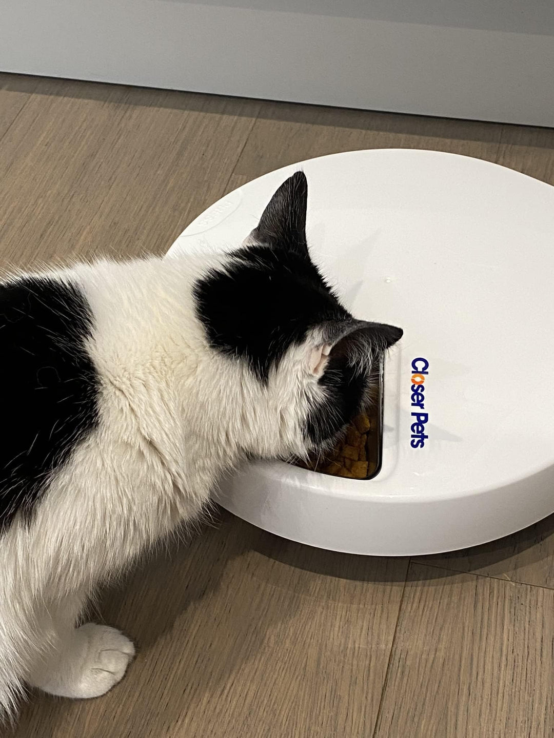 Futterautomat 5-Napf mit Digitaltimer &amp; Kühlakkus für Katzen - Bild 4