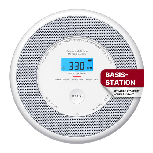 Rauch- und CO-Melder mit Sprachalarm und Standortansage 2-in-1