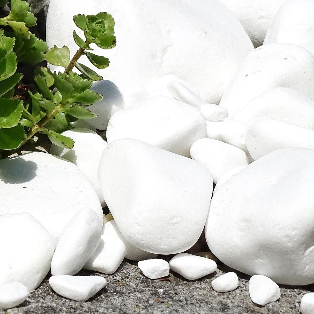 Marmorkies Schneeweiss 25 kg Körnung 15–28 mm für Garten - Bild 7