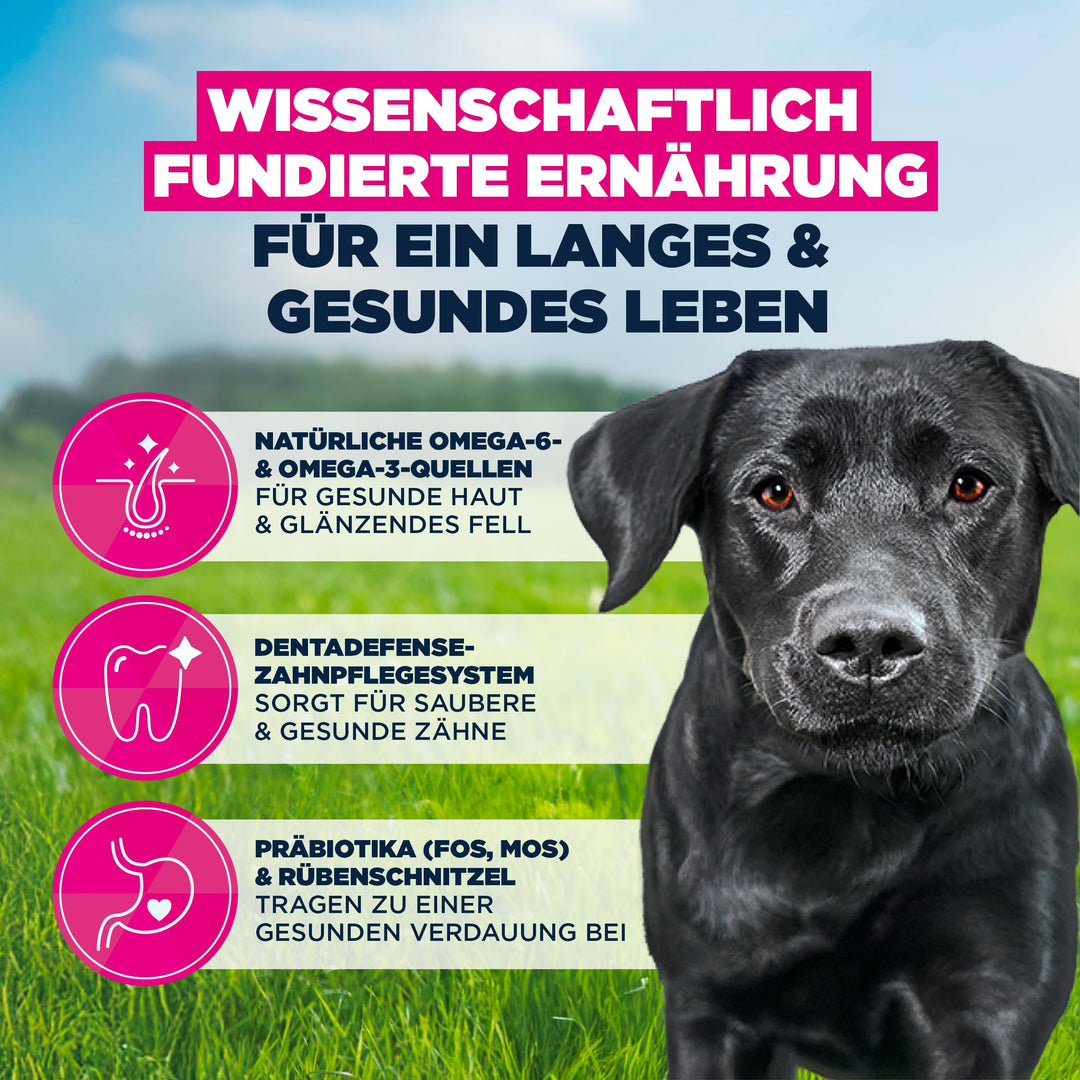 Trockenfutter grosse Rassen Huhn 15 kg – Gelenk &amp; Fell - Bild 5