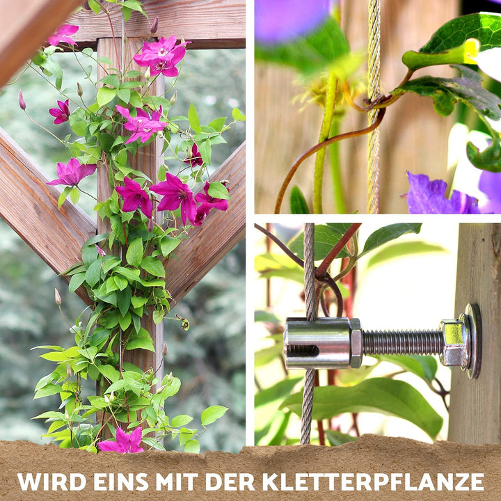Rankhilfe Edelstahl Komplettset 8 Halter 12,5m Seil für Kletterpflanzen - Bild 7