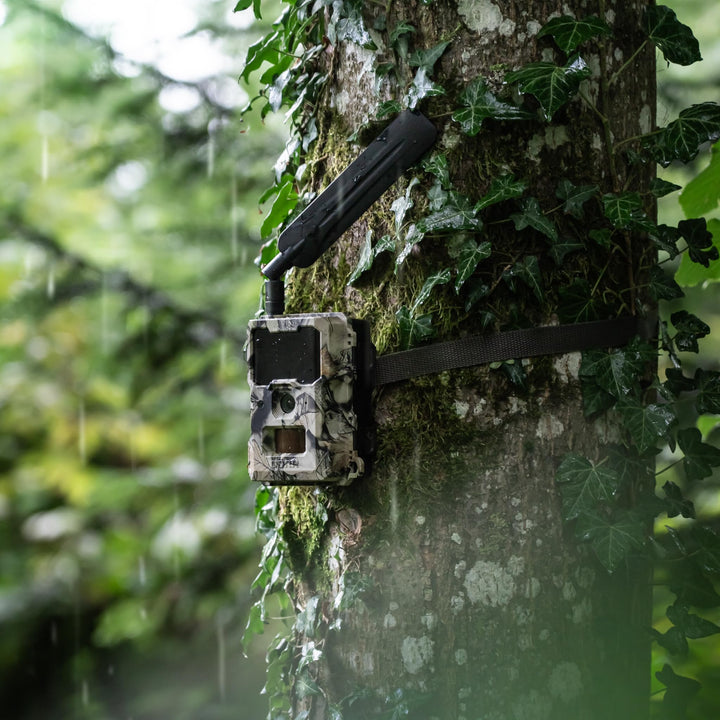 Wildkamera 4G LTE mit App und Cloud 12MP Full HD Camouflage - Bild 3