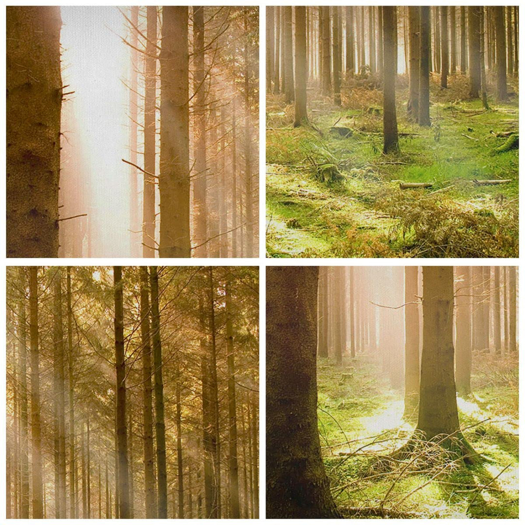 Leinwandbild Botanik Natur 120x50cm aufhängefertig - Bild 5