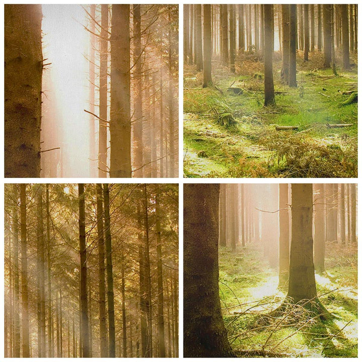 Leinwandbild Botanik Natur 120x50cm aufhängefertig - Bild 5