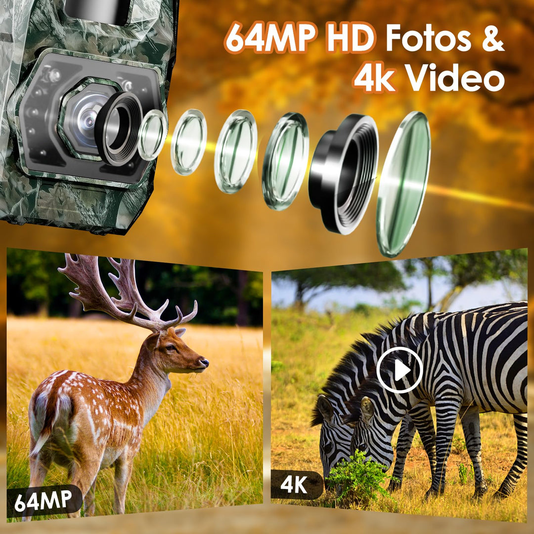 Wildkamera Solar 4K 64MP mit App-Steuerung und Nachtsicht - Bild 2