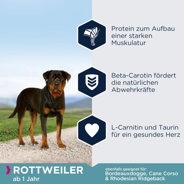Hundetrockenfutter Rottweiler Breed Specific 12 kg Herz &amp; Muskel - Bild 4