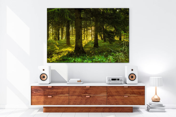 Leinwandbild Waldlichtung 80x60 cm auf Echtholzrahmen - Bild 5
