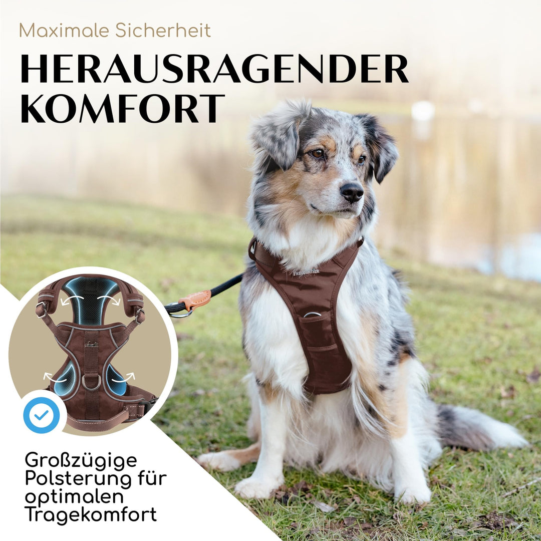 Hundegeschirr Anti-Zug gepolstert Mesh atmungsaktiv mit Reflektoren - Bild 3