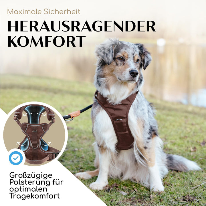 Hundegeschirr Anti-Zug gepolstert Mesh atmungsaktiv mit Reflektoren - Bild 3