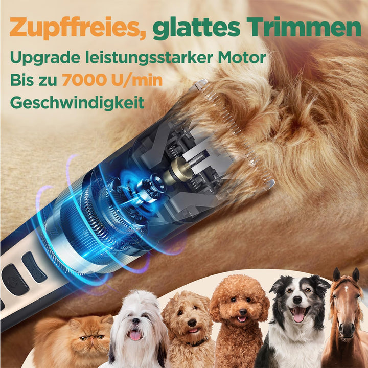 Hundeschermaschine 6-in-1 kabellos 7000 U/min mit Scheren-Set - Bild 3
