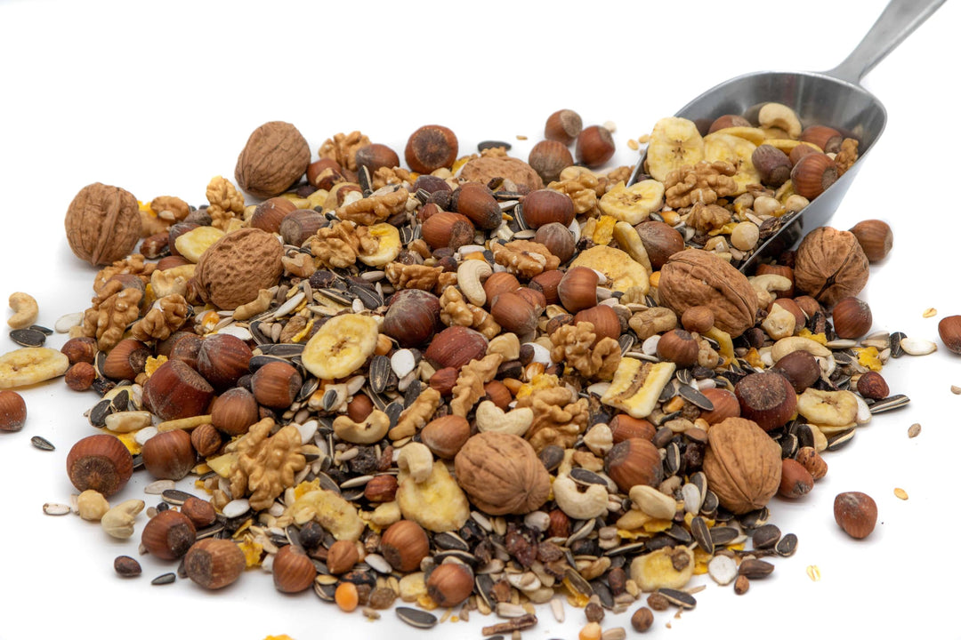Eichhörnchenfutter mit Walnüssen &amp; Haselnüssen in Schale 5 kg - Bild 6