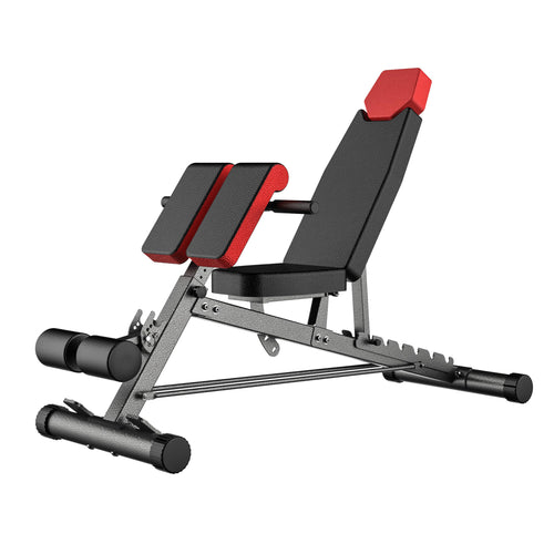 Hantelbank verstellbar 23 Positionen mit Roman Chair für Home Gym